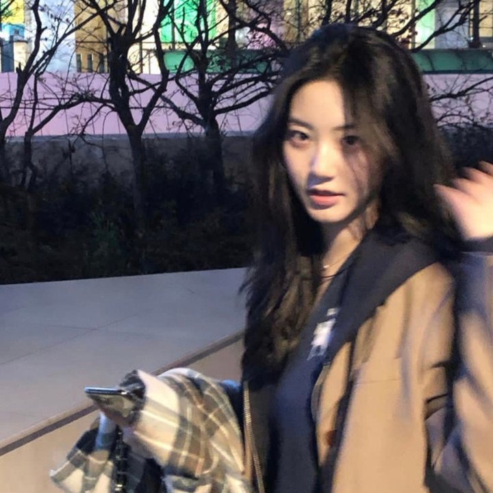 金刚斗恐龙
